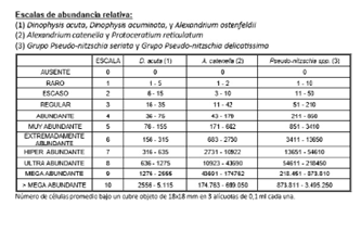 Información complementaria